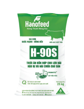 Thức ăn hỗn hợp cho lợn nái hậu bị và lợn nái cao sản