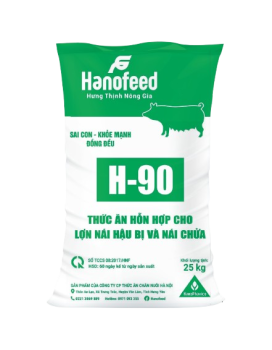 Thức ăn hỗn hợp cho heo nái hậu bị và nái chửa