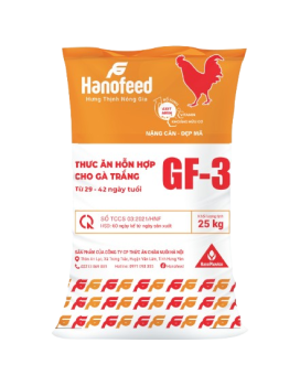 Thức ăn hỗn hợp cho gà trắng  từ 29 - 42 ngày tuổi