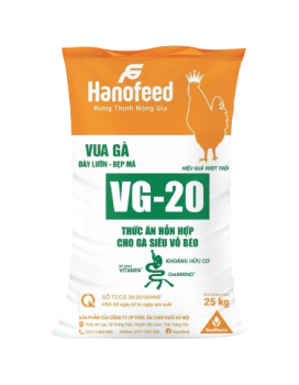 Thức ăn hỗn hợp cho gà siêu vỗ béo